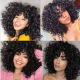 Kriyya Bouncy Curly Short Pixie Cut Wig With Bangs Fluffy Curls Human Hair Machine Made Wigs
