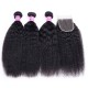 Kriyya Hair Kinky Straight Virgin Hair 3 Bundles With Lace Closure 4 X 4 Inch