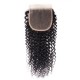 Kriyya High Grade Kinky Curly Virgin Hair 4x4 Lace Closure Sew In