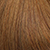 Chestnut Brown #6